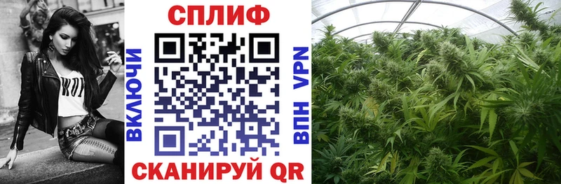 Виды наркоты Онега ГАШ Alpha PVP АМФЕТАМИН Меф мяу мяу
