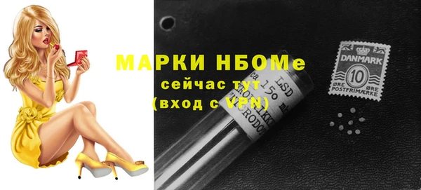 молекула духа Няндома