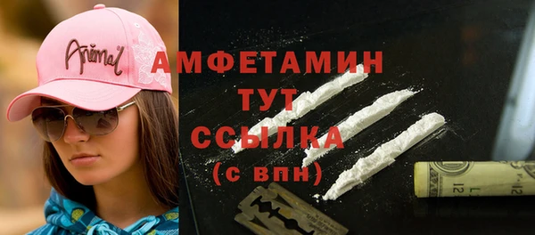тгк Бородино