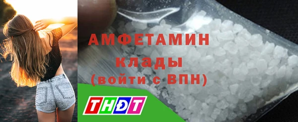 молекула духа Няндома