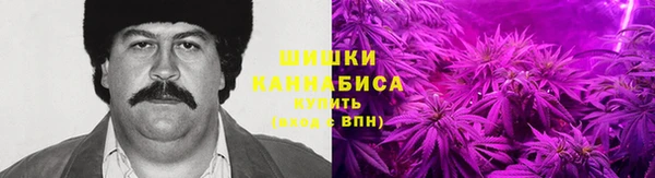 стаф Бронницы