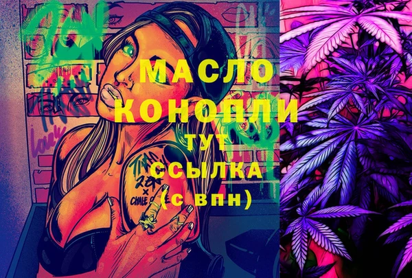 молекула духа Няндома