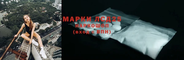 молекула духа Няндома