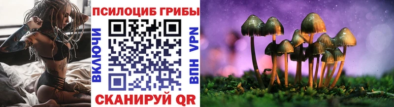 Галлюциногенные грибы прущие грибы  Онега 