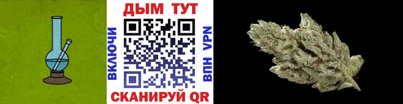 наркота  Онега  Шишки марихуана сатива 